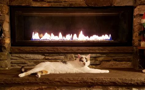 Top 10 Signs Your Gas Fireplace Needs Repair