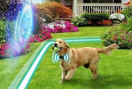 High-Tech Invisible Dog Fences