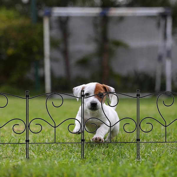 Decorative Dog Fences